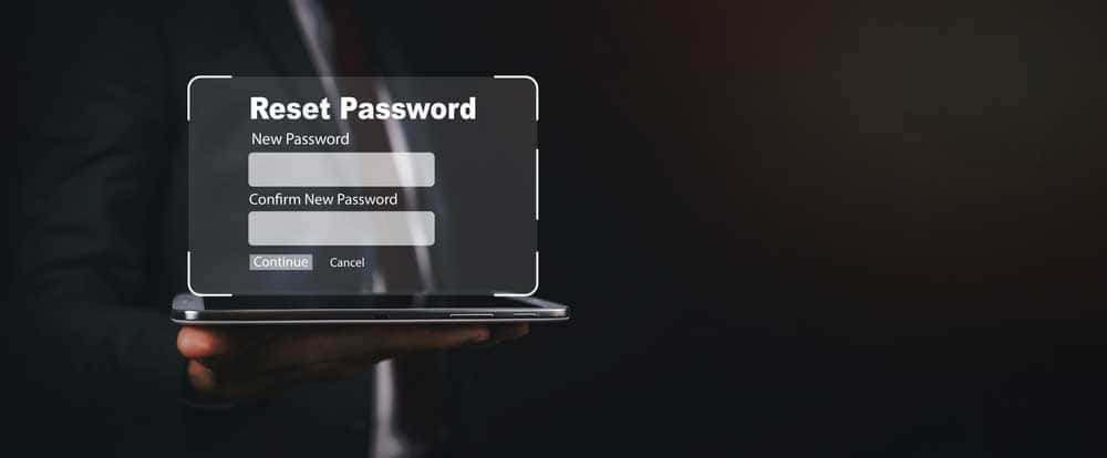 Password reset window