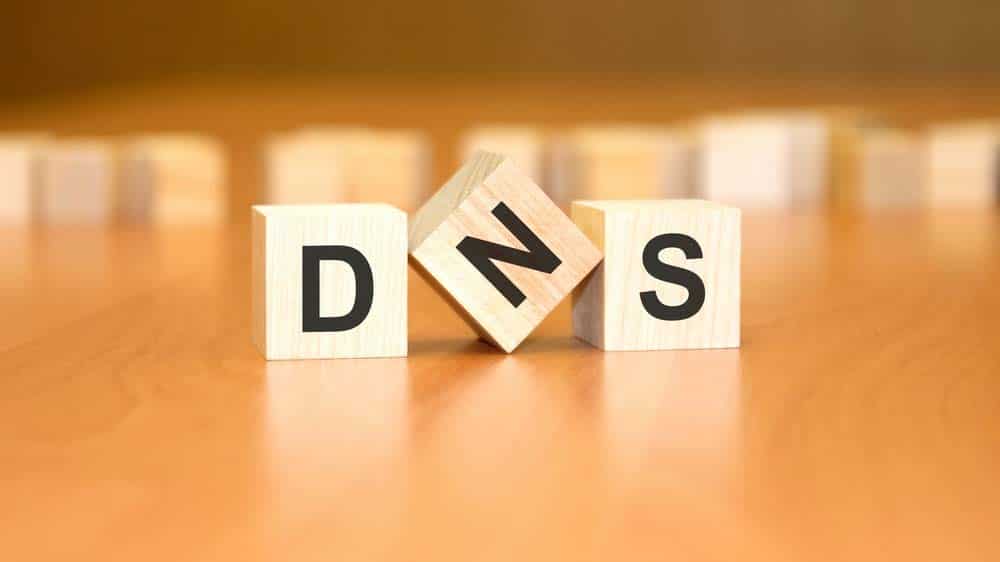 DNS Icon.